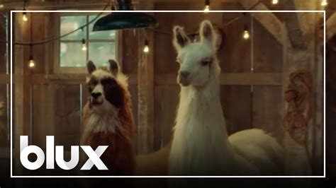 amazon llama song|amazon alpaca commercial.